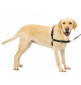 PetSafe PetSafe Easy Walk No-Pull Leash Training Dog Harness  Large  Black