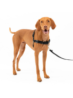 PetSafe PetSafe Easy Walk Adjustable Dog Harness - Medium - Black