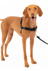 PetSafe PetSafe Easy Walk Adjustable Dog Harness - Medium - Black