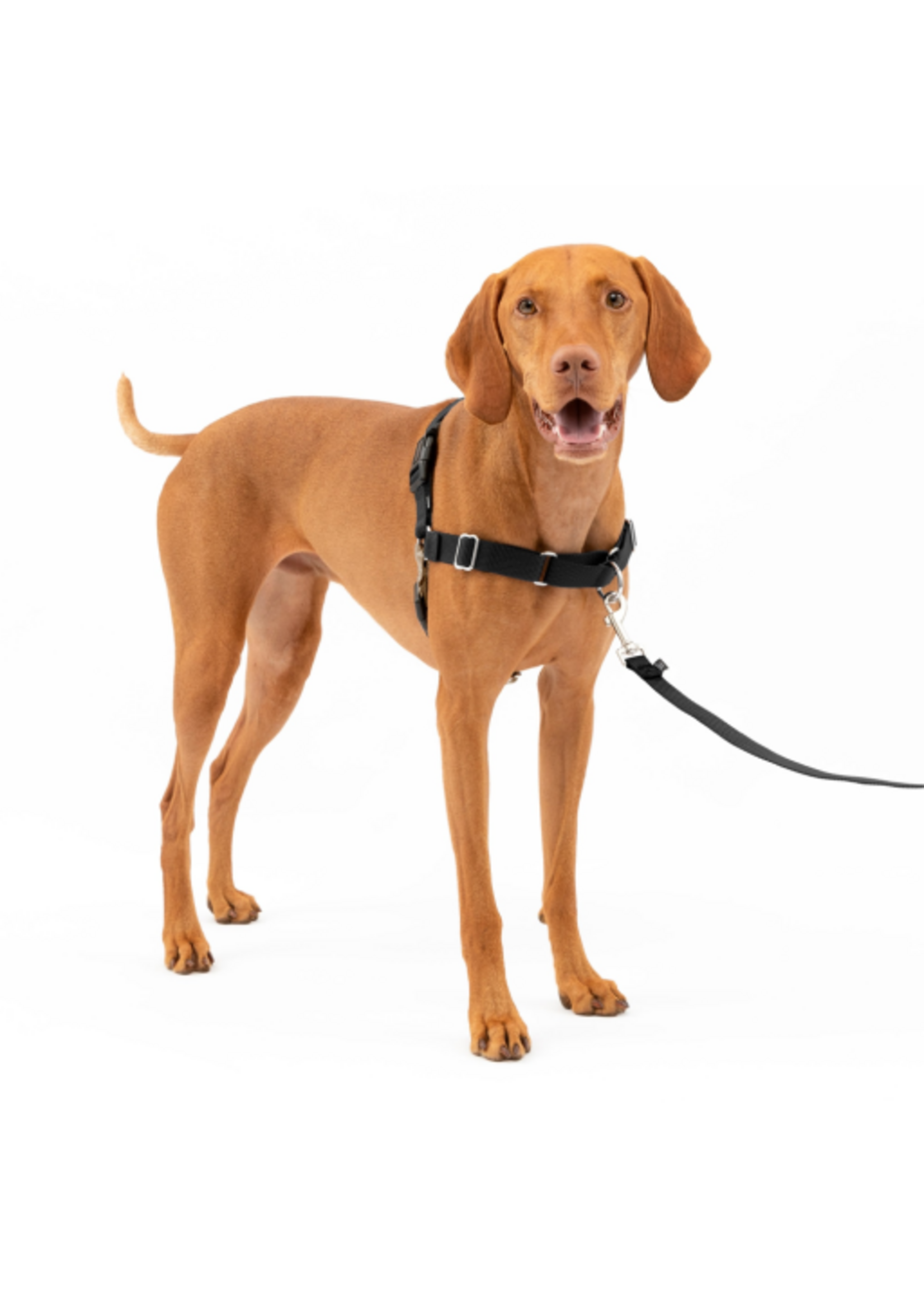PetSafe PetSafe Easy Walk Adjustable Dog Harness - Medium - Black