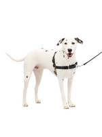 PetSafe PetSafe Easy Walk No-Pull Leash Training Dog Harness  Medium  Large