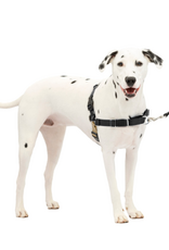 PetSafe PetSafe Easy Walk No-Pull Leash Training Dog Harness  Medium  Large