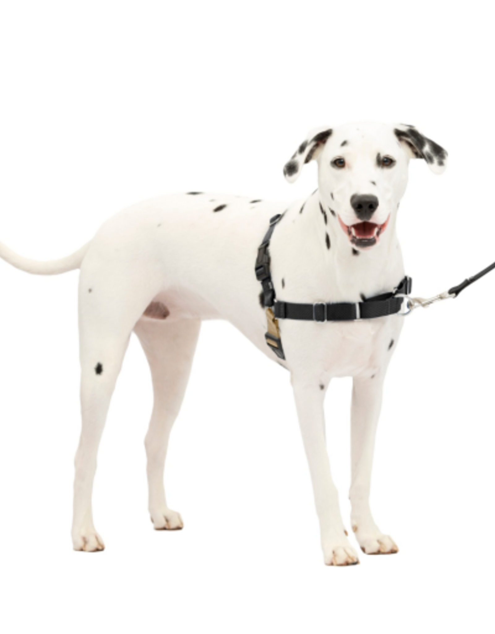 PetSafe PetSafe Easy Walk No-Pull Leash Training Dog Harness  Medium  Large