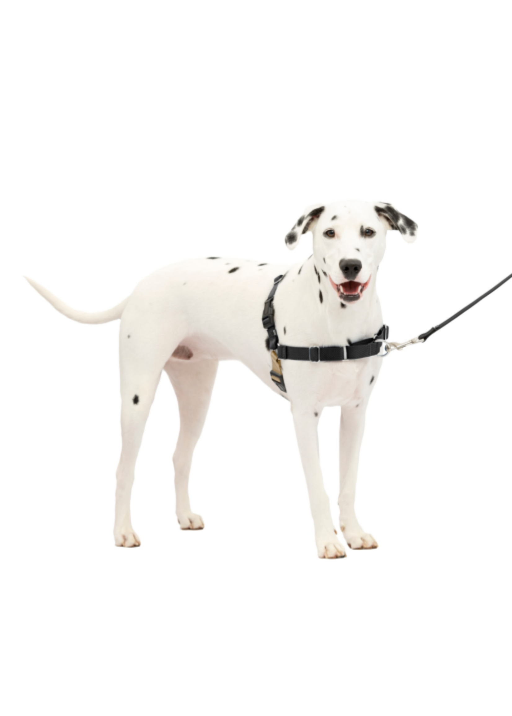 PetSafe PetSafe Easy Walk No-Pull Leash Training Dog Harness  Medium  Large
