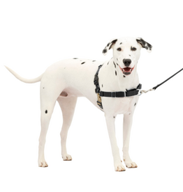PetSafe PetSafe Easy Walk No-Pull Leash Training Dog Harness  Medium  Large