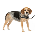 PetSafe PetSafe Easy Walk Dog Harness, Small/Medium, Black