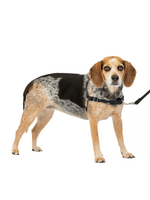 PetSafe PetSafe Easy Walk Dog Harness, Small/Medium, Black