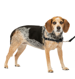 PetSafe PetSafe Easy Walk Dog Harness, Small/Medium, Black