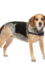 PetSafe PetSafe Easy Walk Dog Harness, Small/Medium, Black