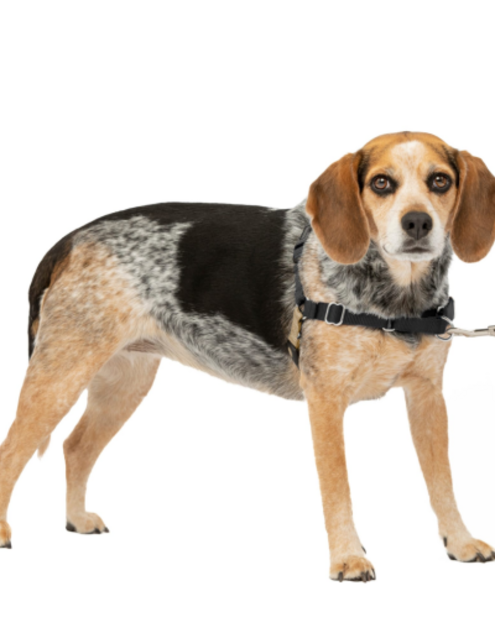 PetSafe PetSafe Easy Walk Dog Harness, Small/Medium, Black