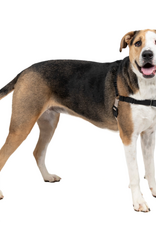 PetSafe PetSafe Easy Walk No-Pull Leash Training Dog Harness  Extra Large  Black