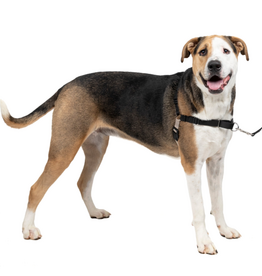 PetSafe PetSafe Easy Walk No-Pull Leash Training Dog Harness  Extra Large  Black