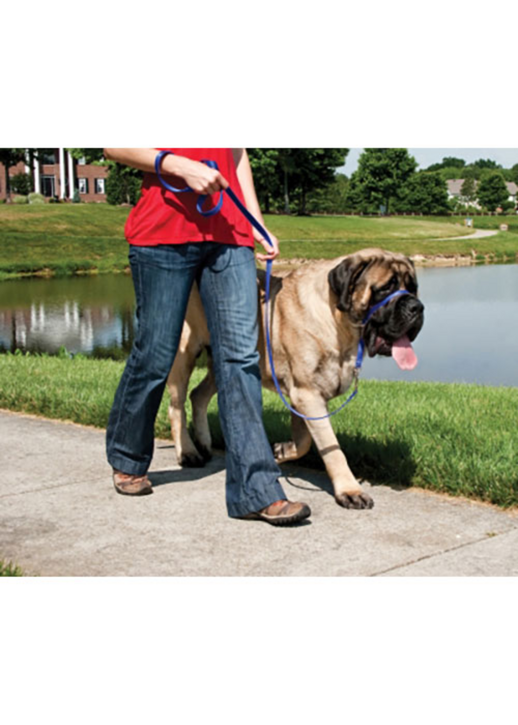 PetSafe PetSafe Gentle Leader Headcollar Adjustable Dog Harness - Extra Large +130 Lb