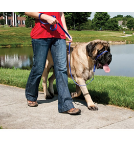 PetSafe PetSafe Gentle Leader Headcollar Adjustable Dog Harness - Extra Large +130 Lb