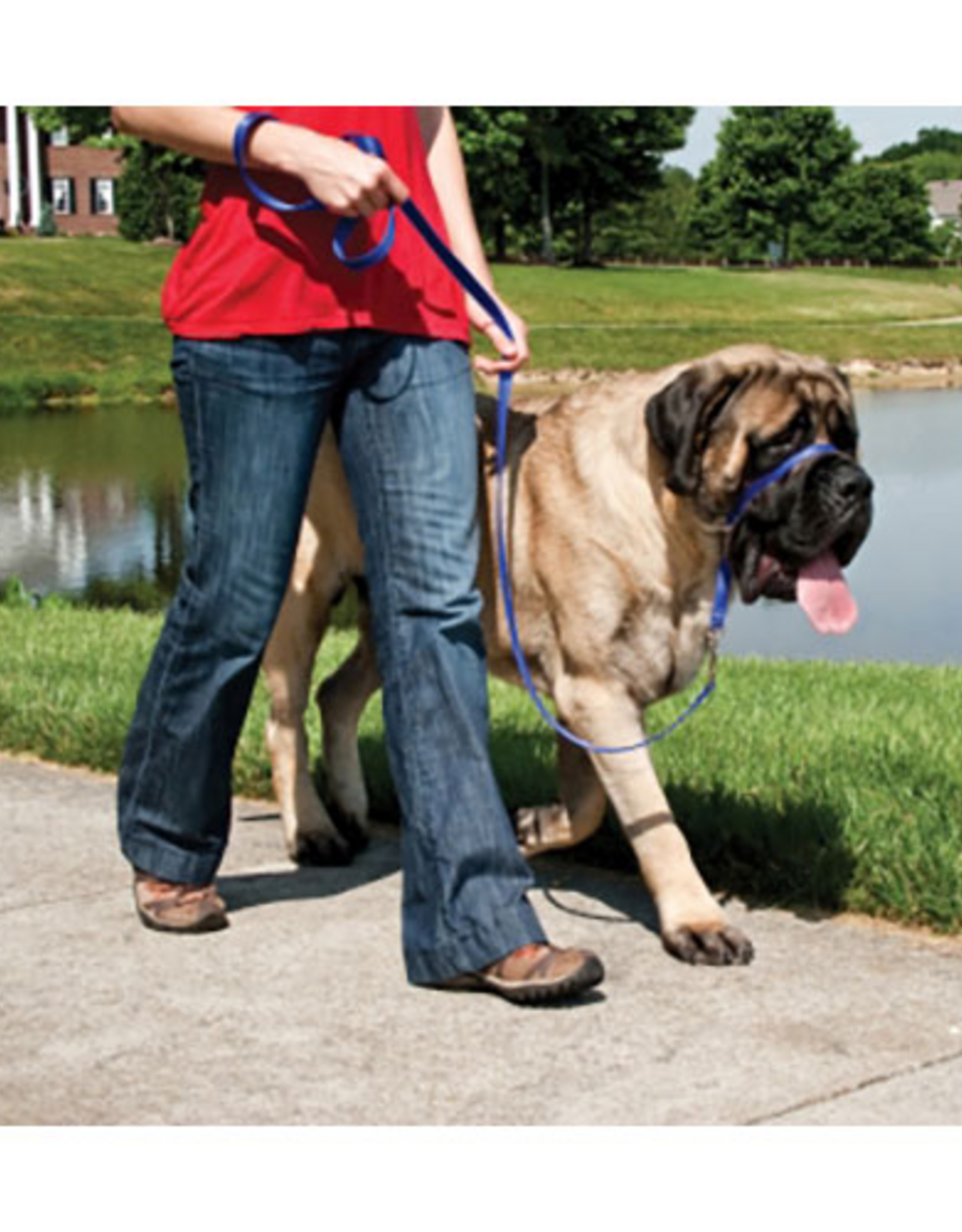 PetSafe PetSafe Gentle Leader Headcollar Adjustable Dog Harness - Extra Large +130 Lb