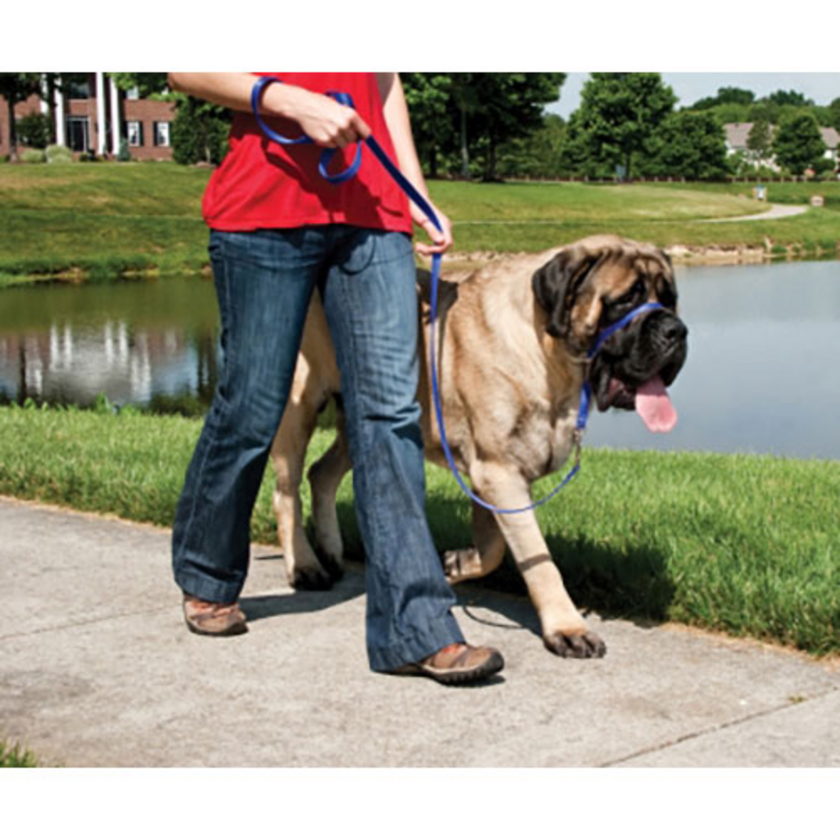 PetSafe PetSafe Gentle Leader Headcollar Adjustable Dog Harness - Extra Large +130 Lb