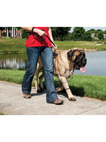 PetSafe PetSafe Gentle Leader Headcollar Adjustable Dog Harness - Extra Large +130 Lb. - Black