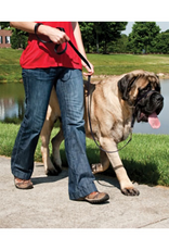 PetSafe PetSafe Gentle Leader Headcollar Adjustable Dog Harness - Extra Large +130 Lb. - Black