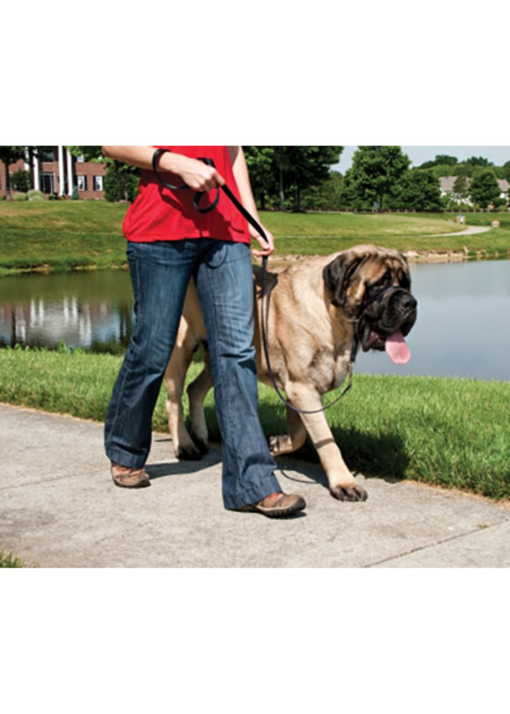 PetSafe PetSafe Gentle Leader Headcollar Adjustable Dog Harness - Extra Large +130 Lb. - Black