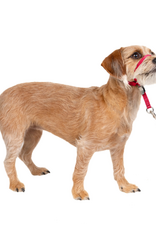 PetSafe PetSafe Gentle Leader Headcollar Adjustable Dog Harness - Small - Up to 25 Lb. - Red