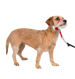 PetSafe PetSafe Gentle Leader Headcollar Adjustable Dog Harness - Small - Up to 25 Lb. - Red