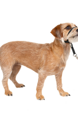 PetSafe PetSafe Gentle Leader Headcollar Adjustable Dog Harness - Small - Up to 25 Lb. - Black