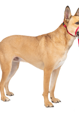 PetSafe PetSafe Gentle Leader Headcollar Adjustable Dog Harness - Medium, 25-60 Lb. - Red