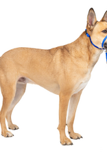 PetSafe PetSafe Gentle Leader Headcollar Adjustable Dog Harness - Medium - Royal Blue