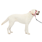 PetSafe PetSafe Gentle Leader Headcollar Adjustable Dog Harness - Large - Red