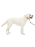 PetSafe PetSafe Gentle Leader Headcollar Adjustable Dog Harness - Large - Red