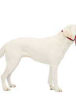 PetSafe PetSafe Gentle Leader Headcollar Adjustable Dog Harness - Large - Red
