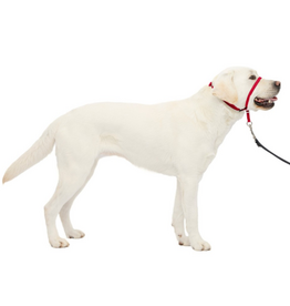 PetSafe PetSafe Gentle Leader Headcollar Adjustable Dog Harness - Large - Red