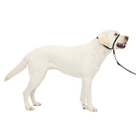 PetSafe PetSafe Gentle Leader Headcollar Adjustable Dog Harness - Large - Black