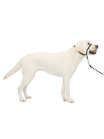PetSafe PetSafe Gentle Leader Headcollar Adjustable Dog Harness - Large - Black