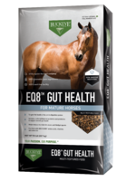 Buckeye Buckeye EQ8 Gut Health Horse Feed - 50 lb