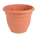 Bloem Bloem 6-in Ariana Self Watering Plastic Planter - Terra Cotta Color