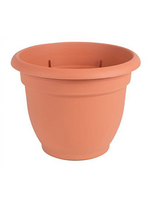 Bloem Bloem 6-in Ariana Self Watering Plastic Planter - Terra Cotta Color