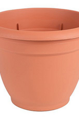 Bloem Bloem 6-in Ariana Self Watering Plastic Planter - Terra Cotta Color