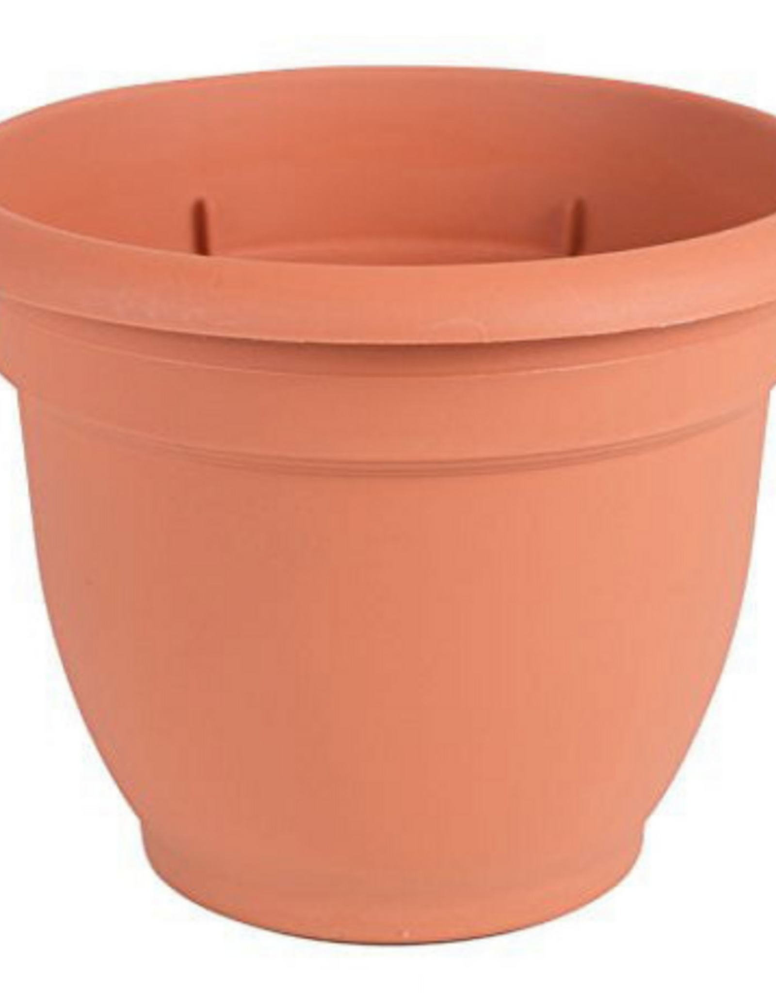 Bloem Bloem 6-in Ariana Self Watering Plastic Planter - Terra Cotta Color
