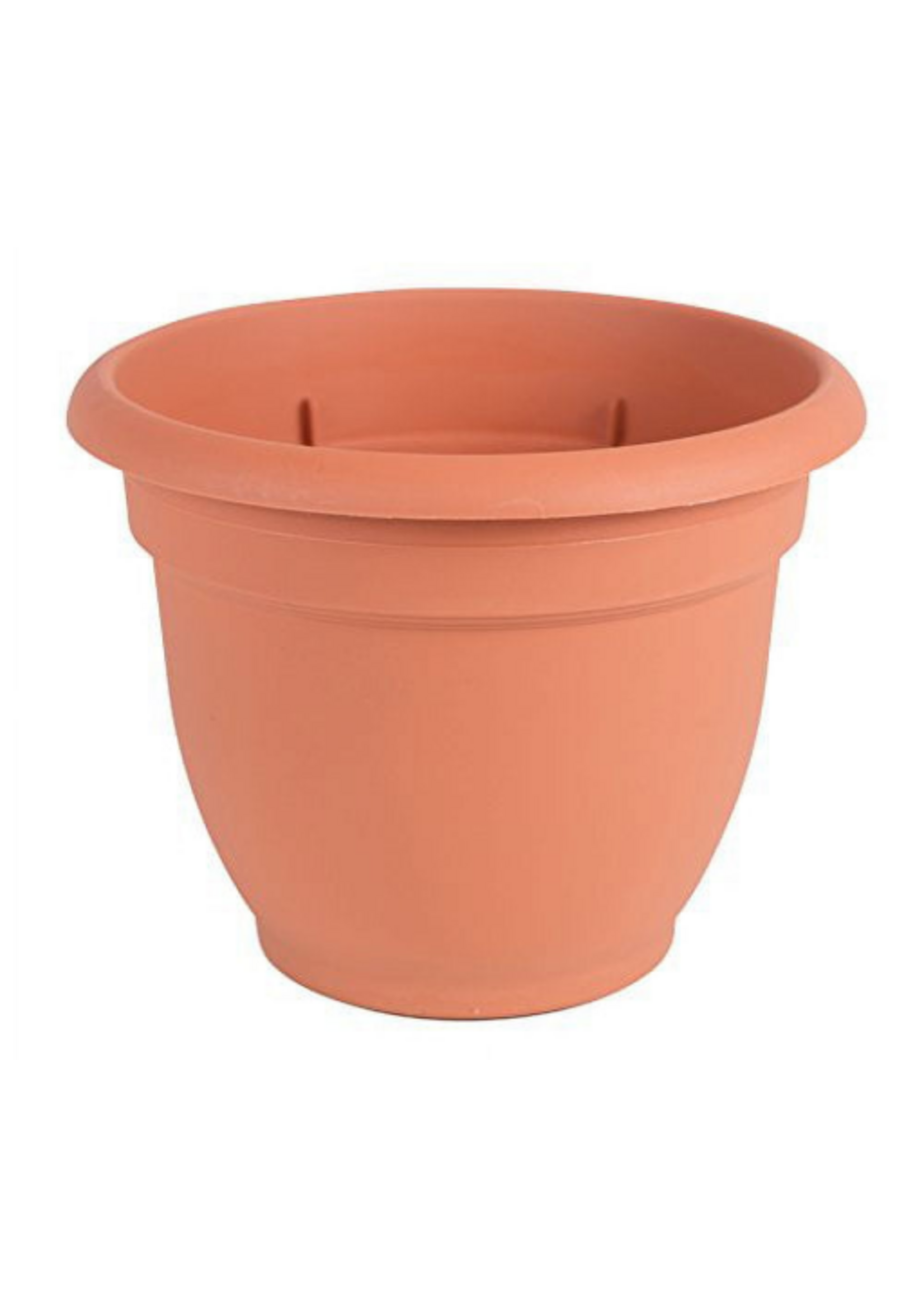 Bloem Bloem 6-in Ariana Self Watering Plastic Planter - Terra Cotta Color