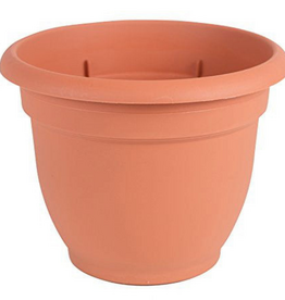 Bloem Bloem 6-in Ariana Self Watering Plastic Planter - Terra Cotta Color