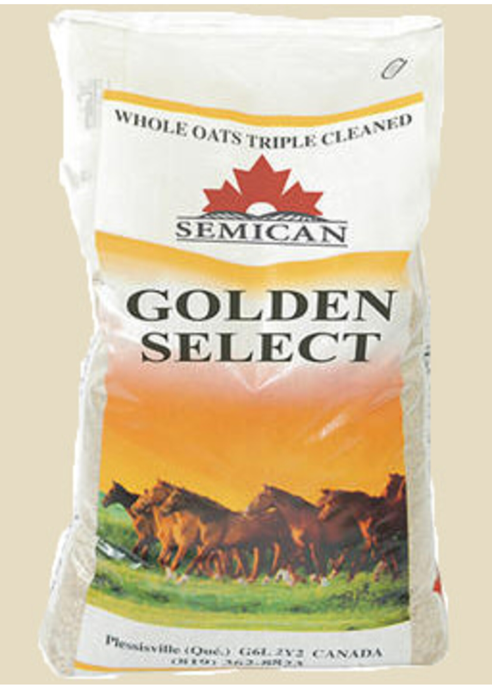 Semican Semican Crimped Oats - 50 lbs