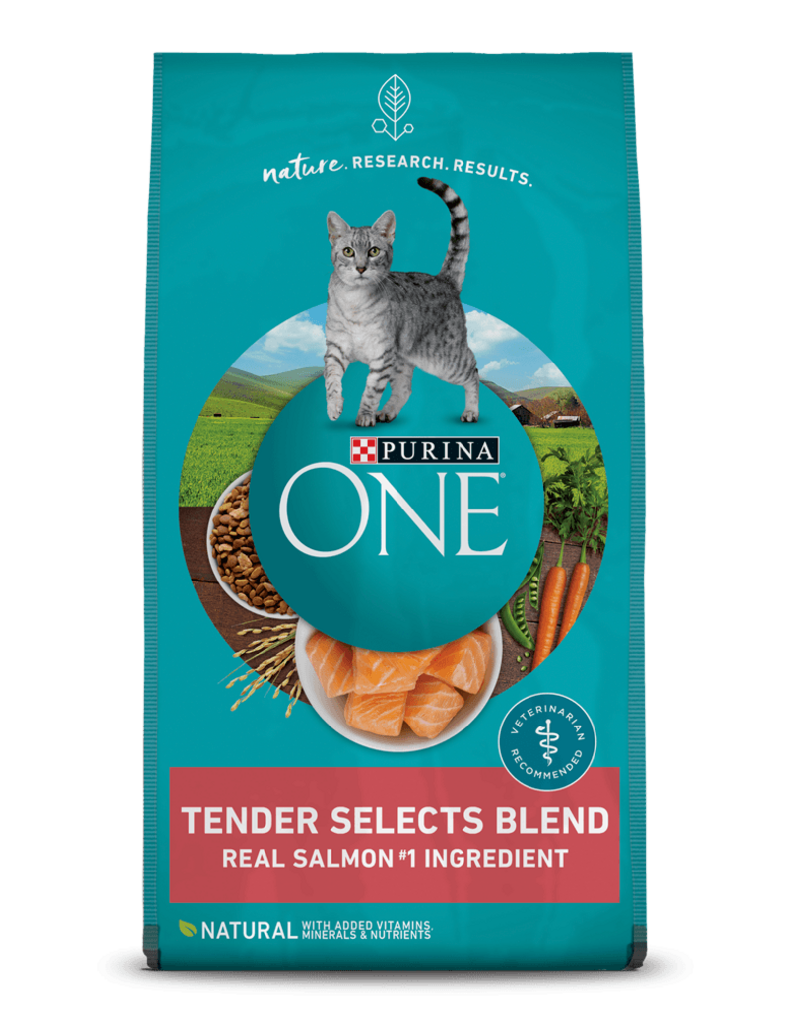 Purina ONE Purina ONE Tender Selects Blend Salmon Dry Cat Food - 3.5 lb