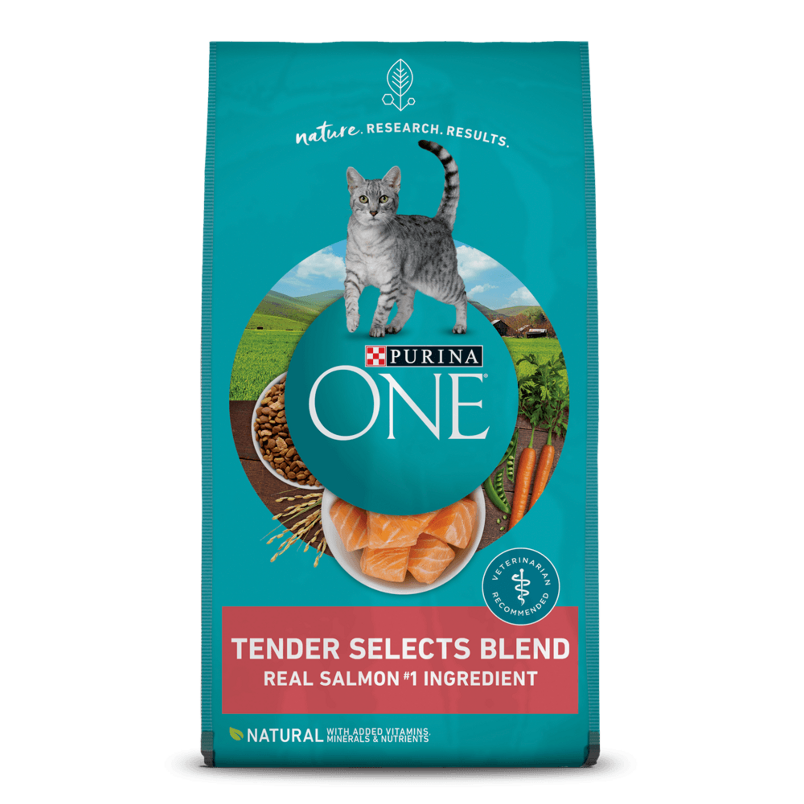 Purina ONE Purina ONE Tender Selects Blend Salmon Dry Cat Food - 3.5 lb