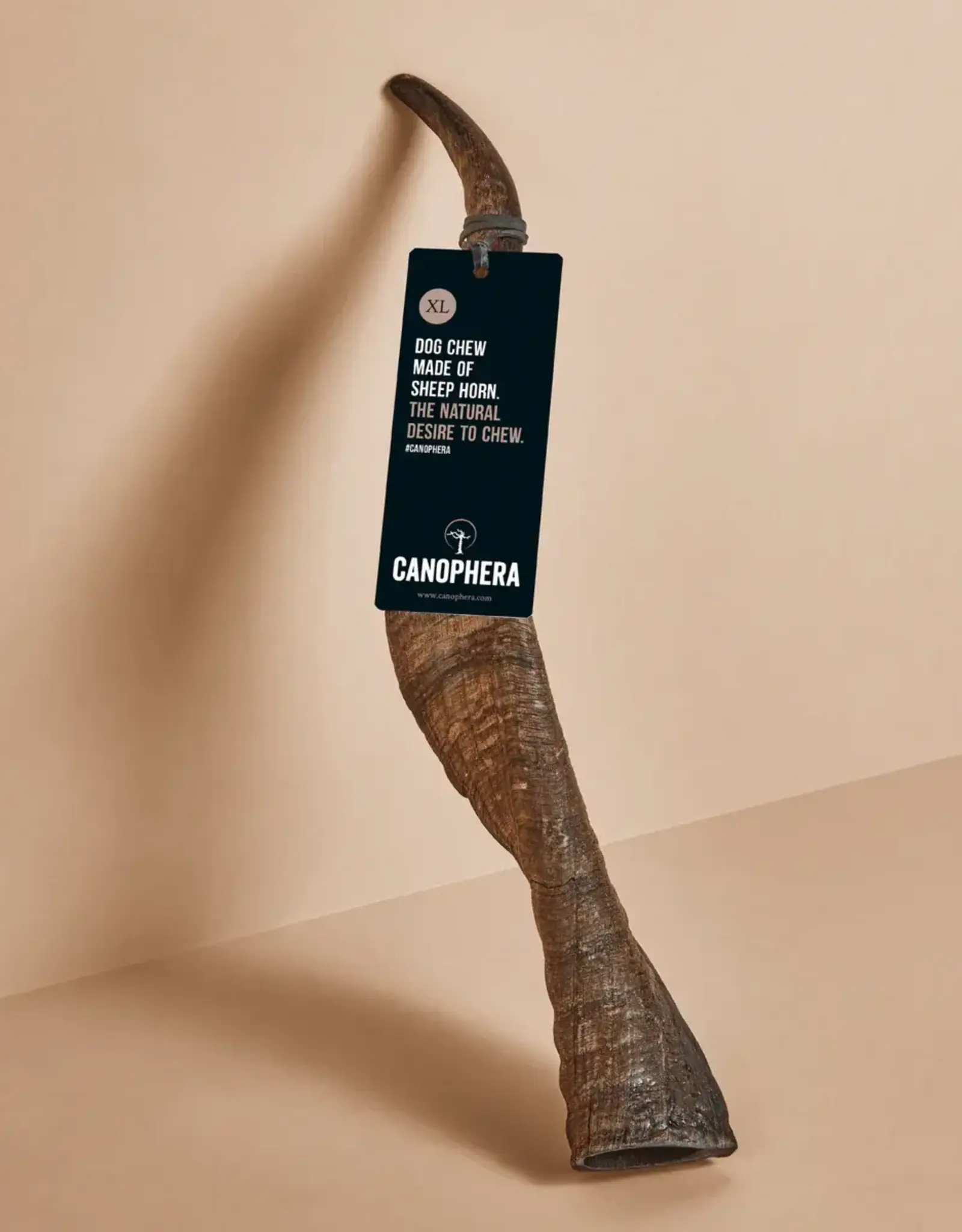 Canophera Sheep Horn Dog Chew - Extra Large