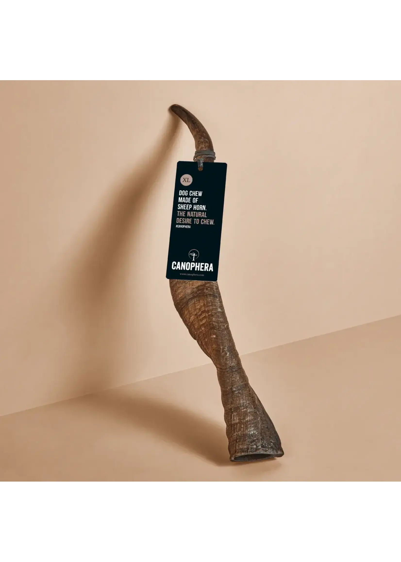 Canophera Sheep Horn Dog Chew - Extra Large