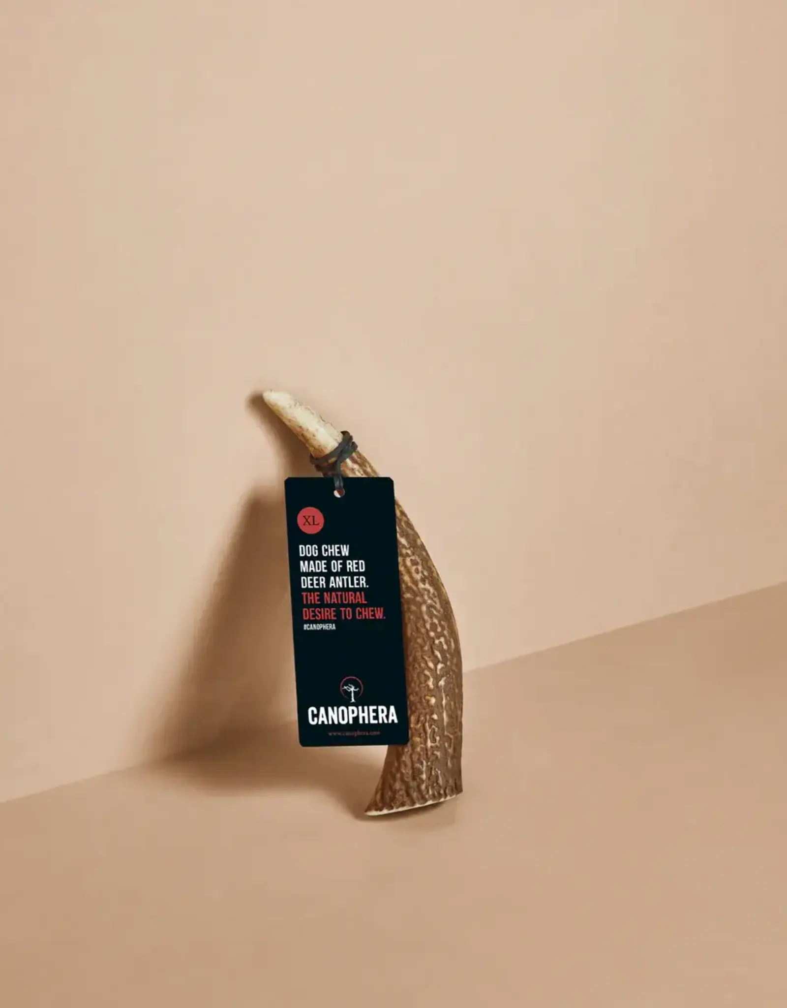 Canophera Whole Red Deer Antler Dog Chew - Extra Large