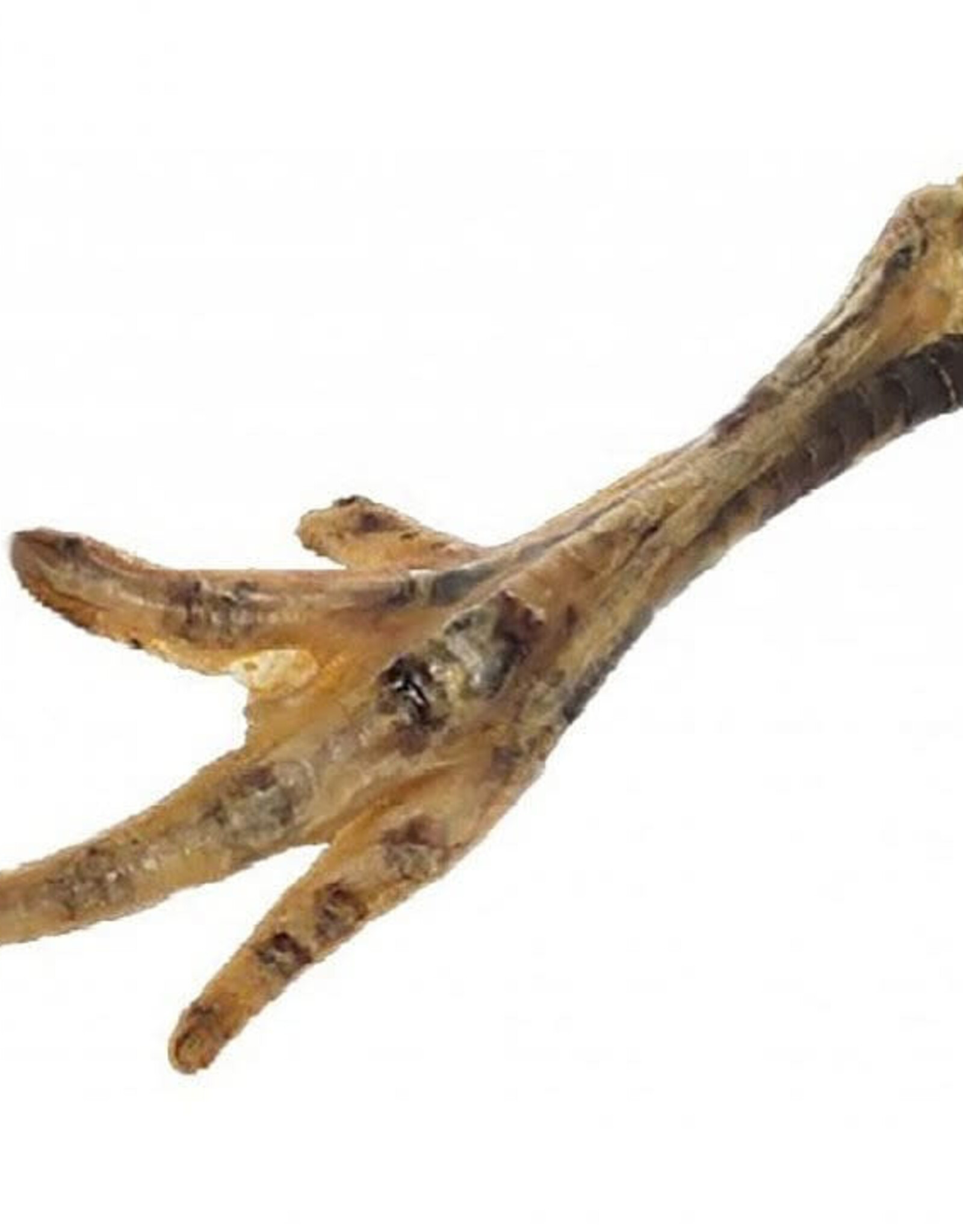 Donegal Crunchy Euro Chicken Feet | Bulk