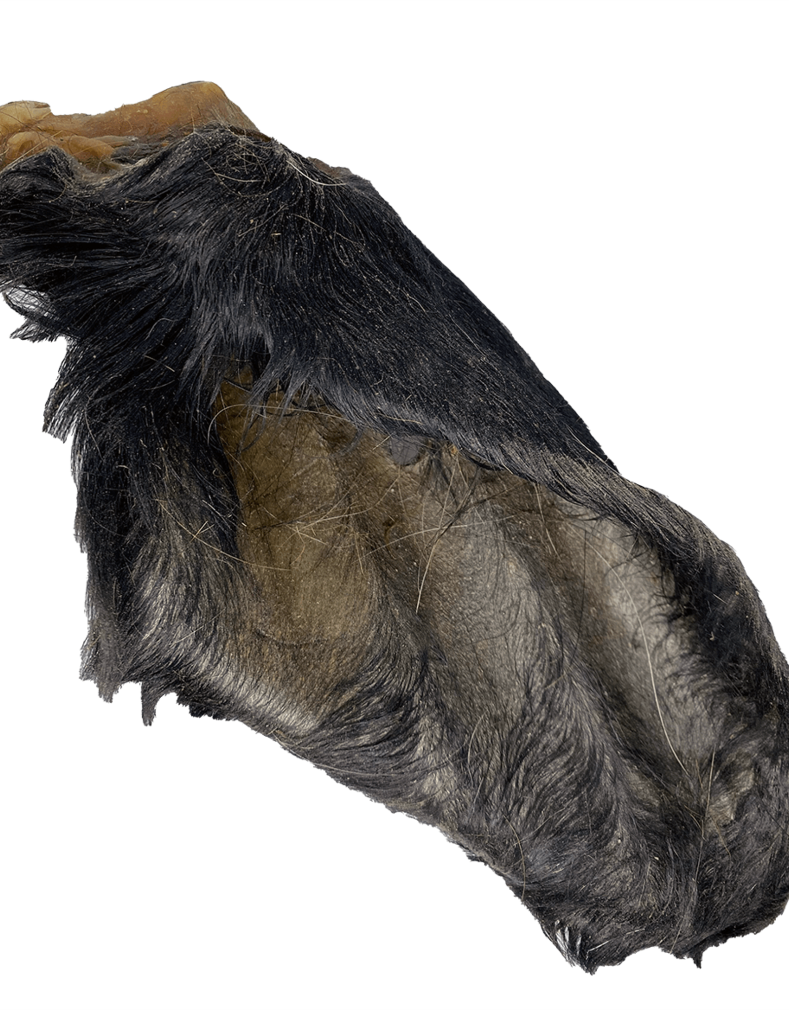 Donegal Hairy Beef Cow Ears | Bulk