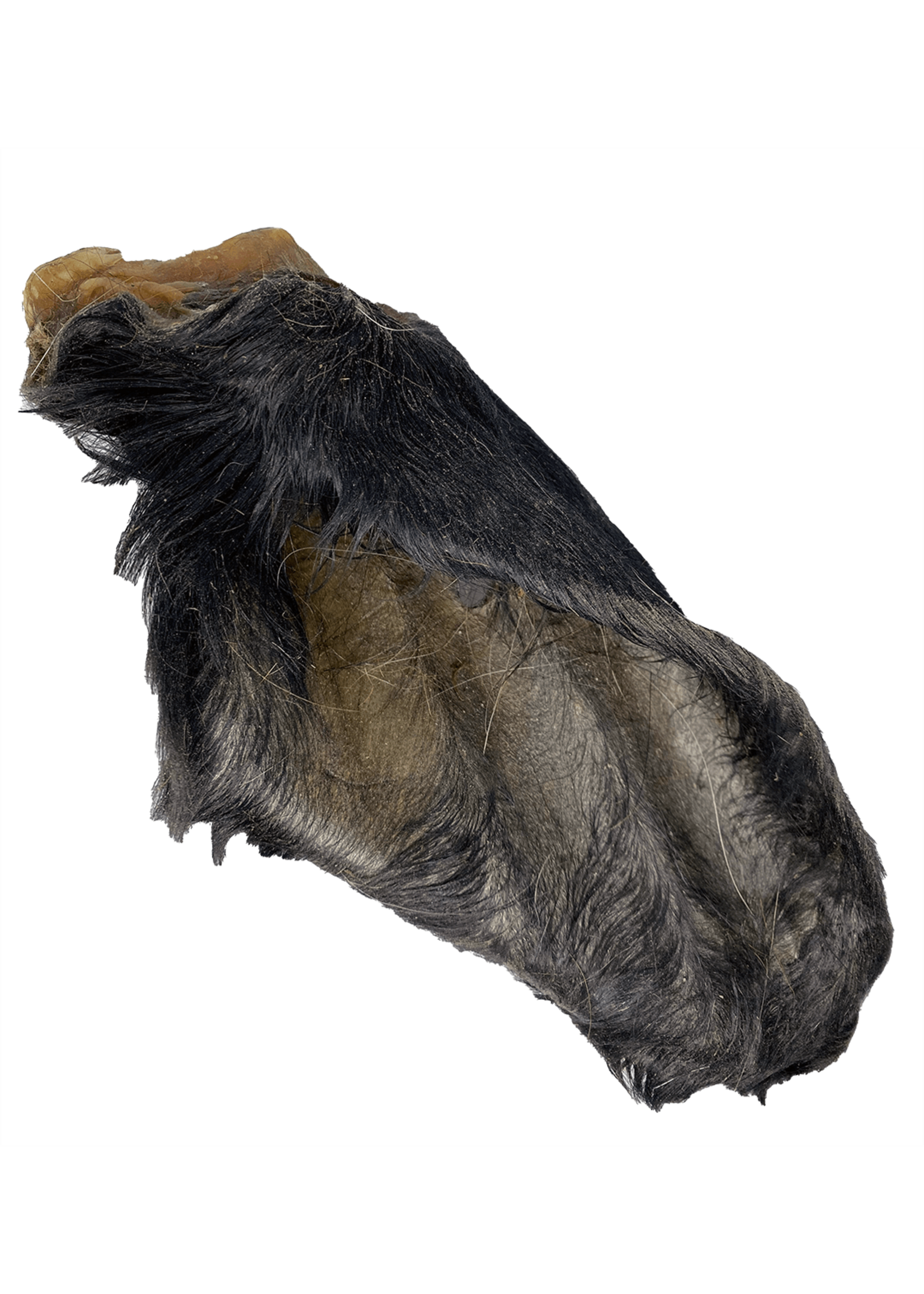Donegal Hairy Beef Cow Ears | Bulk